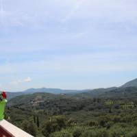 1 - One Bedroom Apartment with Mountain View 