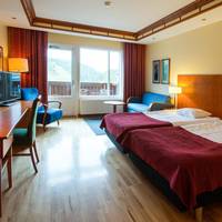Superior Twin Room with Mountain View