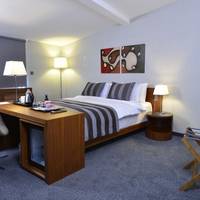 Double or Twin Room with Terrace