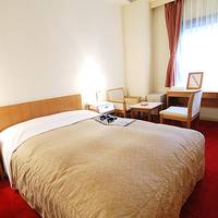 Double Room - Non-Smoking 