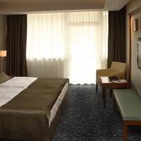 Superior Plus Room