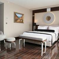Superior Double Room with Terrace - Non-Smoking
