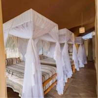 Tent (Single)