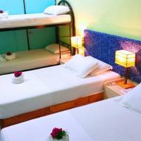 Single Bed in Mixed Dormitory Room