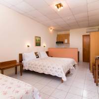 Studio (2-3 Adults)