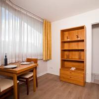 One-Bedroom Apartment with Sofa Bed