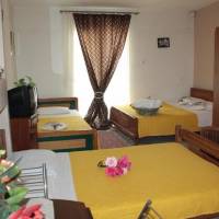 Family Studio (4 Adults)