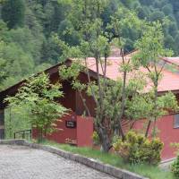 Standard Bungalow
