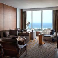 Suite Room, Lounge Access, 1 King Size