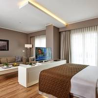 Deluxe Room with Terrace