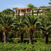 Four-Bedroom Villa
