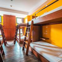 Bunk Bed in Female Dormitory Room  