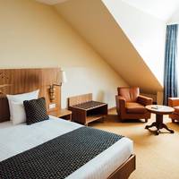 Double Room with Spa Access (King-size bed)