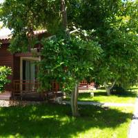 Deluxe Bungalow