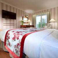 Deluxe Double Room for Single Use
