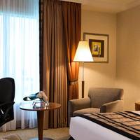 Deluxe Double Room with Club Lounge Access