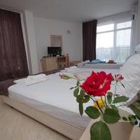 Twin Room (2 Adults + 2 Children)