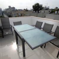 Three-Bedroom Apartment with Terrace