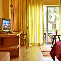 Superior Double or Twin Room with Garden View