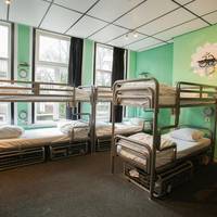 Bed in 14-Person Mixed Dormitory Room