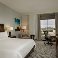 Mountain View King Room