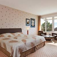 Executive Double Room with Lake View