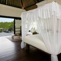 Mangrove Suite