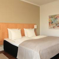 Standard Double Room - Non-Smoking