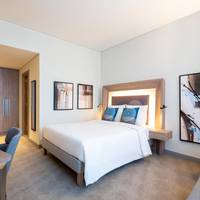 Deluxe Suite with 1 Double Bed and 1 Sofa Bed