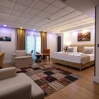 Family Room with sofa bed