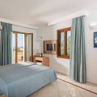 Standard Double Room with Pool or Garden view