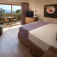 Superior Siam Room