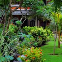 Special Offer - Two Units of Superior Room