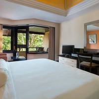 Superior King Room with Garden View
