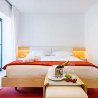 Superior Double or Twin Room with Terrace