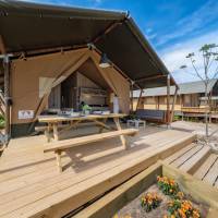 Tent Grand Safari
