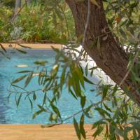 Junior Suite with Private Pool and Garden View