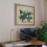 Одноместный