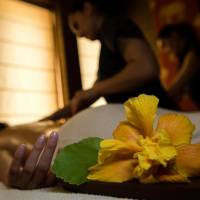 SPA OFFER - Deluxe Double or Twin Room with Garden or Pool View