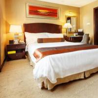 Comfort Single Room