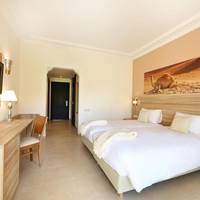 Double Room (2 Adults + 1 Child )