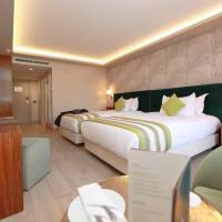 Deluxe Double or Twin Room with Pool View