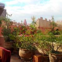 Roof Suite