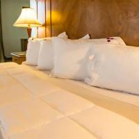Double Room with Pool View