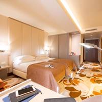 Standard Double or Twin Room - Single Use