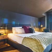 Executive Deluxe Double or Twin Room