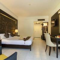 Superior Double or Twin Room with Pool View