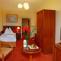 Superior Single Room