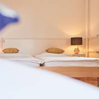 Triple Room with Shared Bathroom