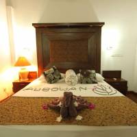 Deluxe Double Room with Ayurvedic Package
